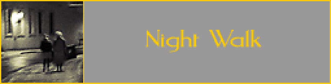 Night Walk, Montpellier und Hsinchu, 2012